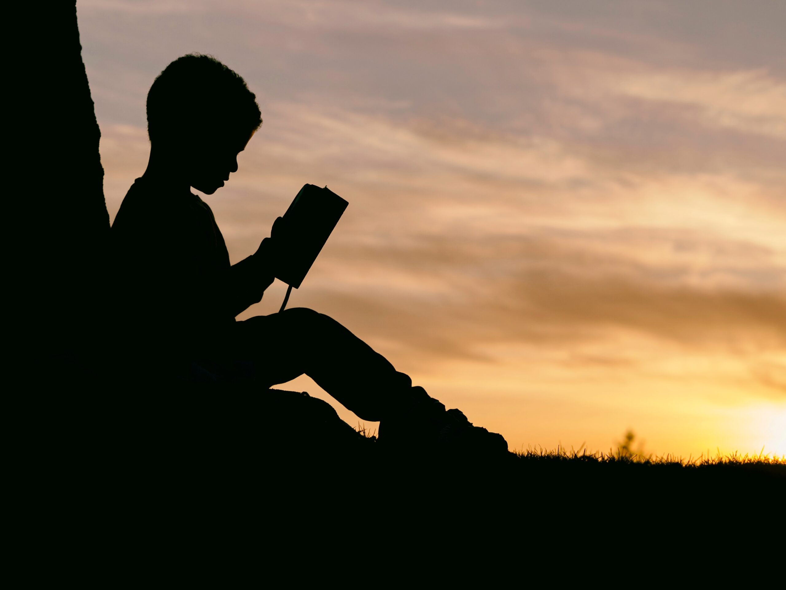 silhouette of a boy reading book in under a tree (program evaluation, impact evaluation, outcome evaluation, nonprofits, nonprofit leaders, fundraising, storytelling with data, impact stories, dataviz)